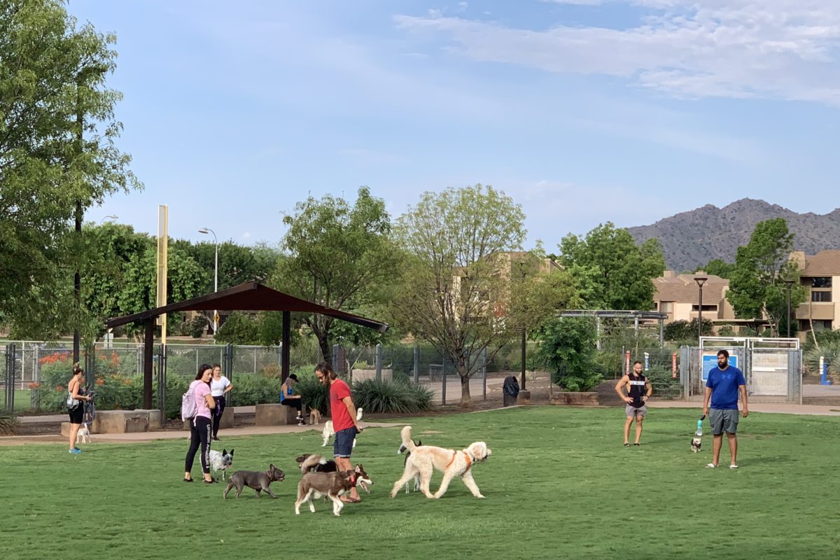 Scottsdale Parks and Recreation Scottsdale Lives