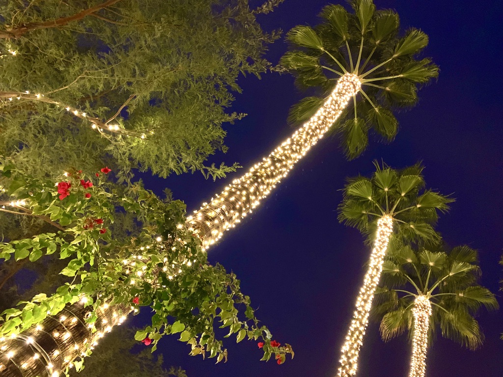 Fun things to do in Scottsdale, December 8-11, 2022