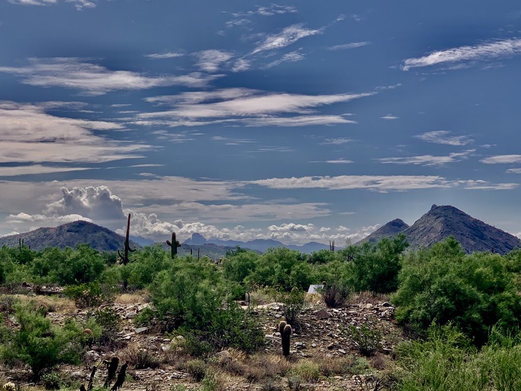 Fun Scottsdale Events March 3-5, 2023: Sonoran Desert Preserve Hiking.